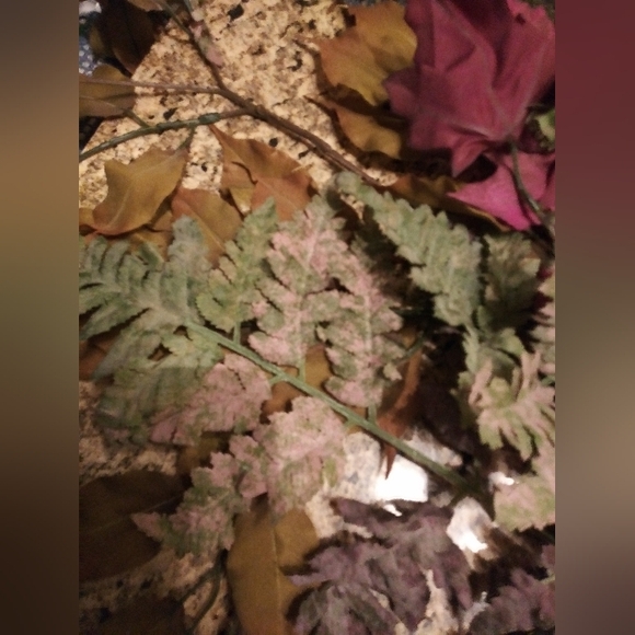 Florals - Picture 3 of 5